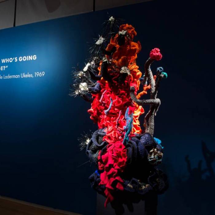 Reef sculpture inside gallery