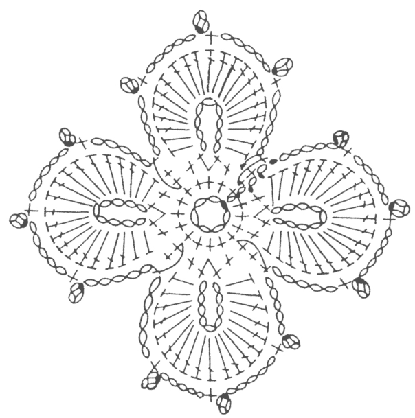 Diatom illustration