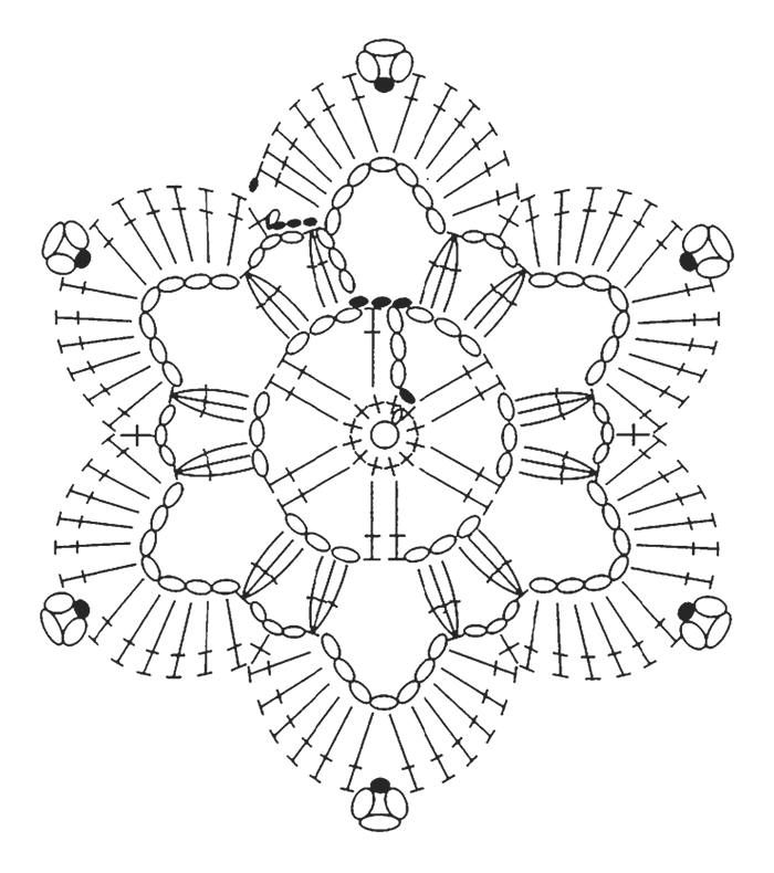 Diatom illustration
