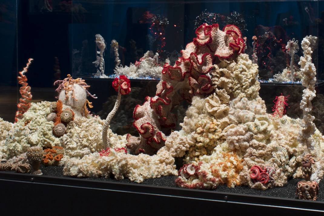 Reef sculpture in gallery.