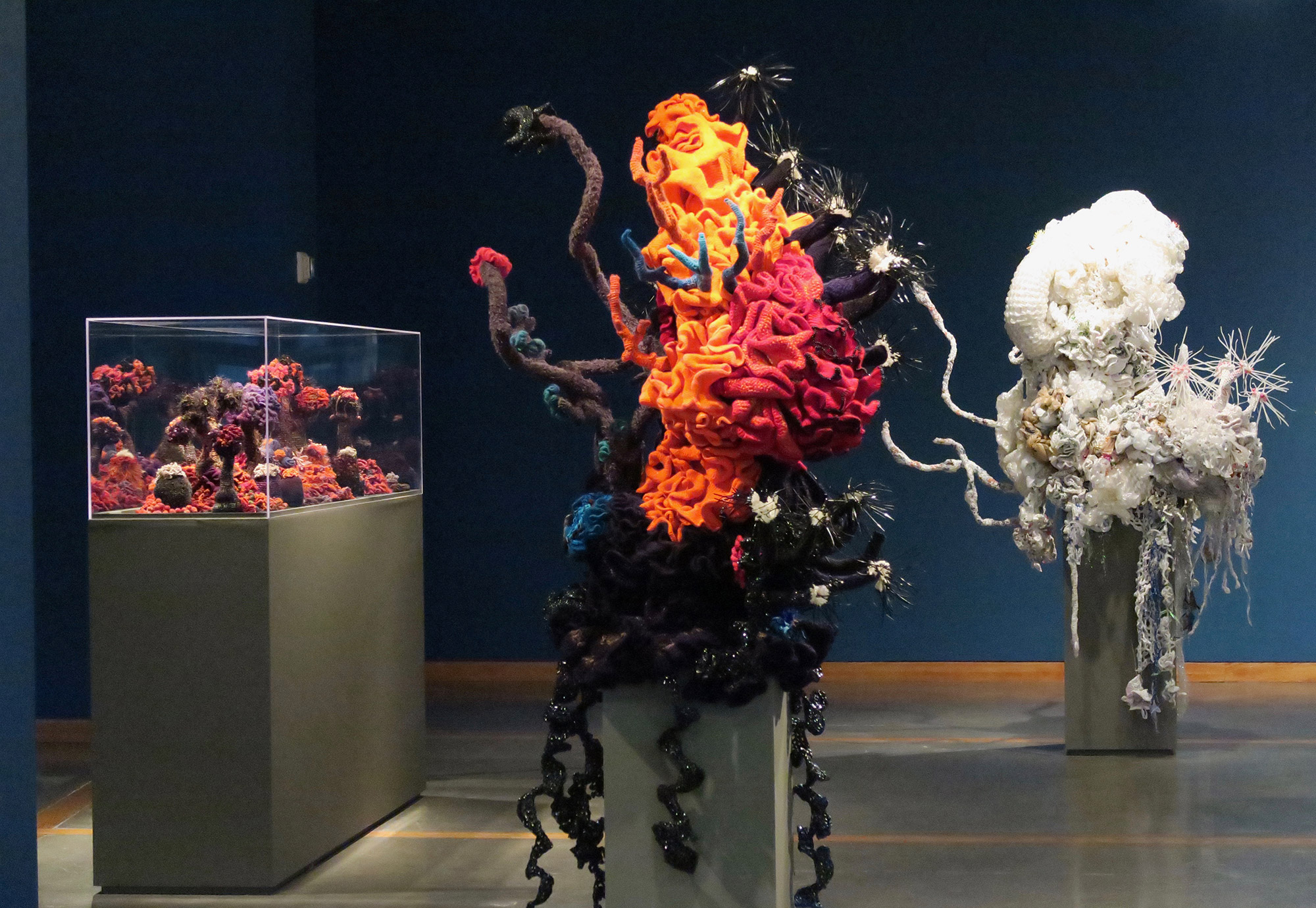 Reef sculptures in gallery