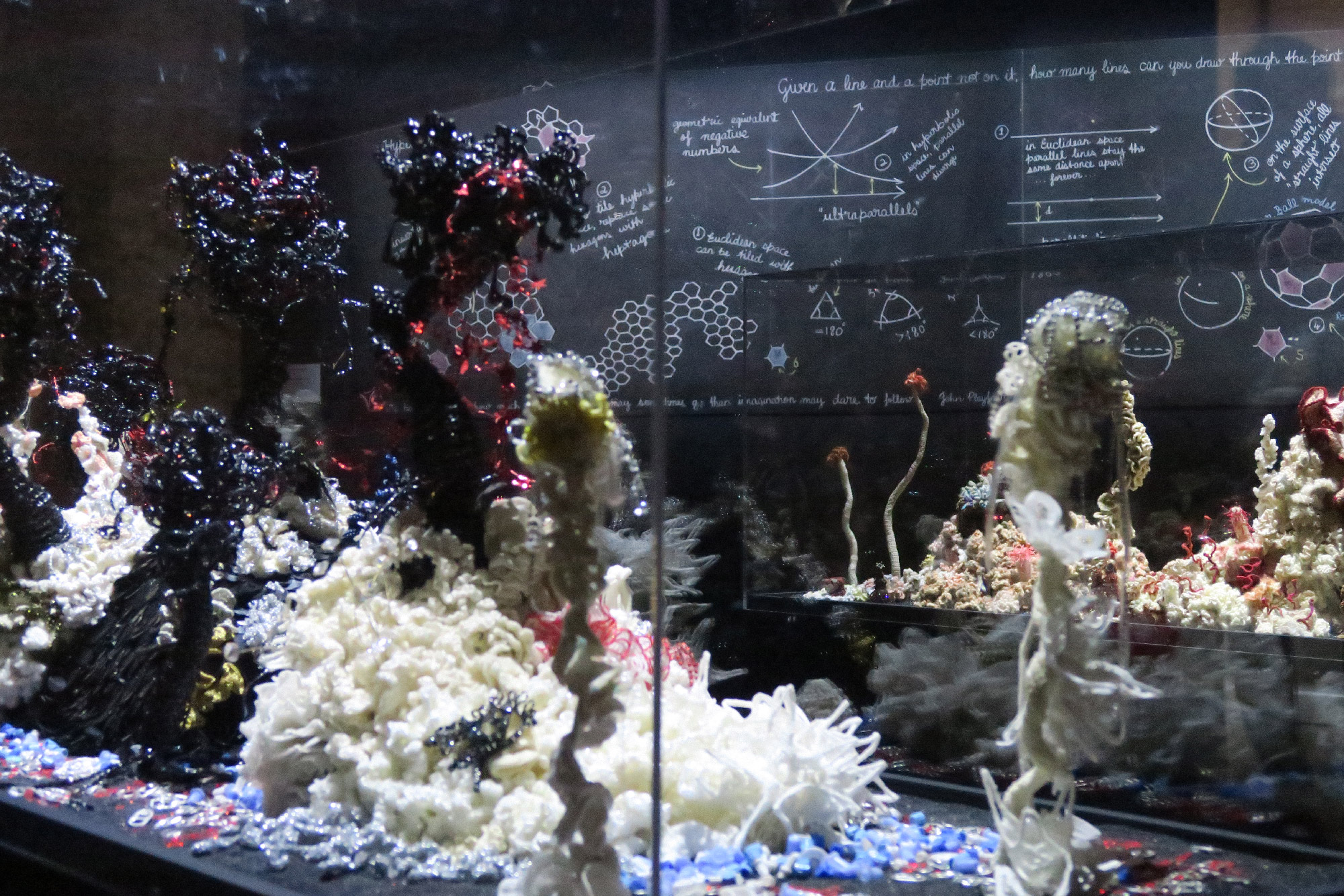 Reef sculptures in a gallery with a black board in the background