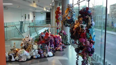 View of crochet coral reef sculptures installed in gallery next to windows.