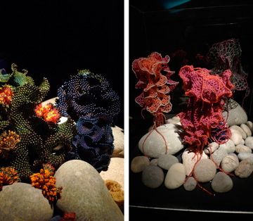Crochet coral reef sculptures installed in darkened gallery.