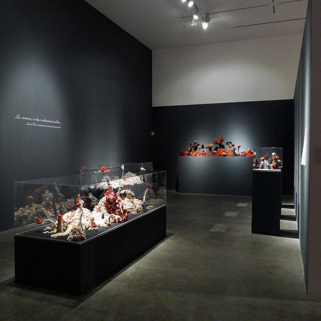 Installation view of crochet coral reefs installed in vitrines in darkened gallery.