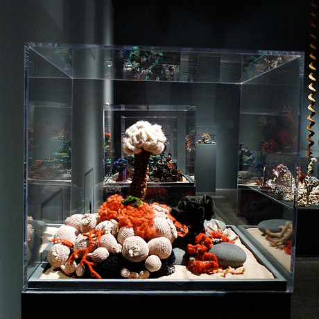 Installation view of crochet coral reef sculptures inside a glass vitrine.