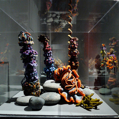 Installation view of crochet coral reef sculptures inside a glass vitrine.