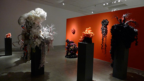 Installation view of crochet coral reef sculptures in front of red wall in gallery.