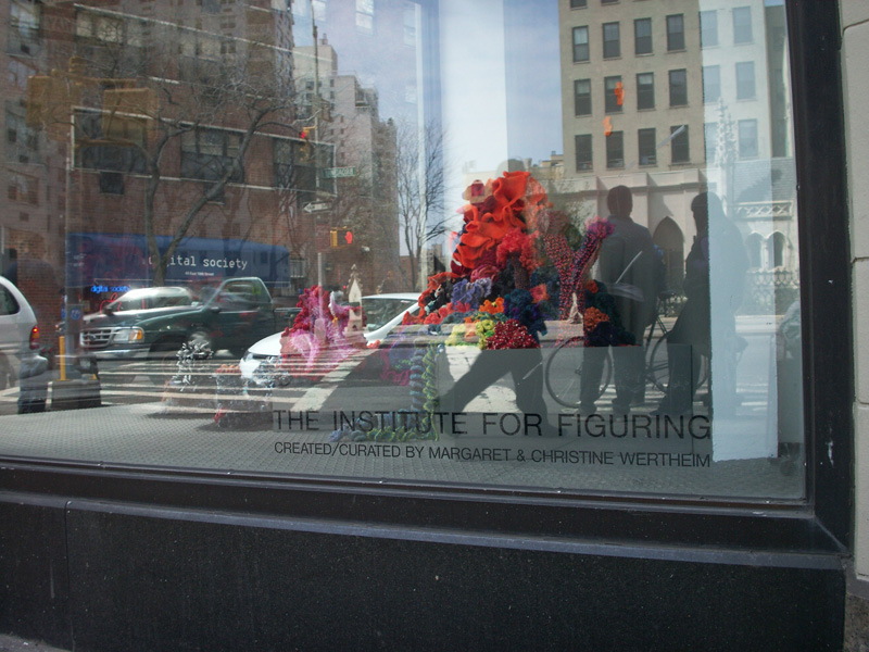 Installation view of crochet coral reef sculptures inside a window display.