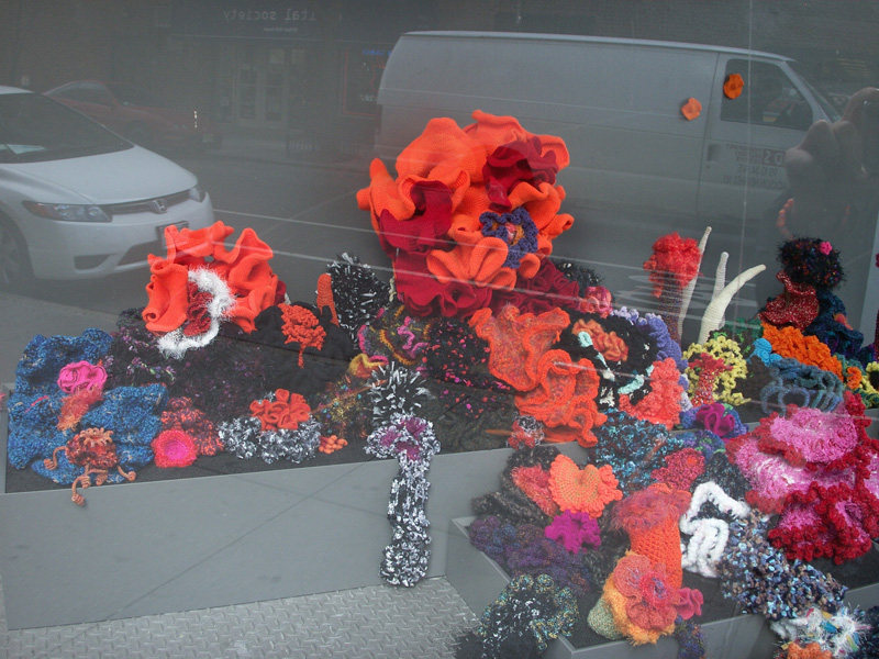Installation view of crochet coral reef sculptures inside a window display.