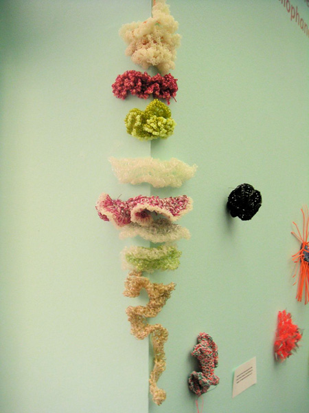 Detail of crochet coral sculpture in front of blue wall.