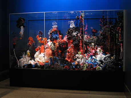 Detail of crochet coral reef sculptures installed in a glass vitrine in gallery.