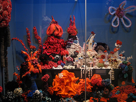 Detail of crochet coral reef sculptures installed in a glass vitrine in gallery.