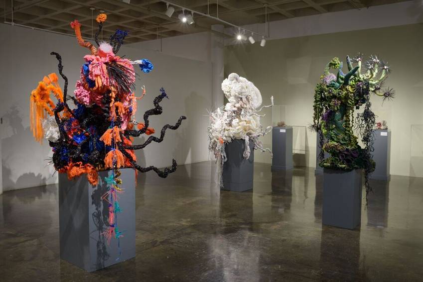Crochet coral reef sculptures on plinths in large gallery