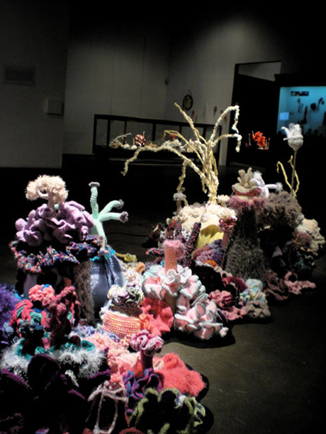 Installation view of crochet coral reef sculptures in gallery space.