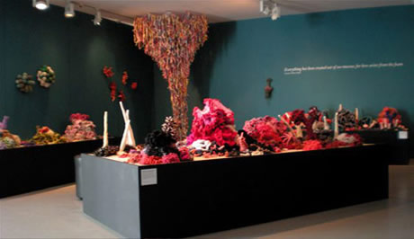 View of hyperbolic crochet coral reef sculpture installed in gallery.