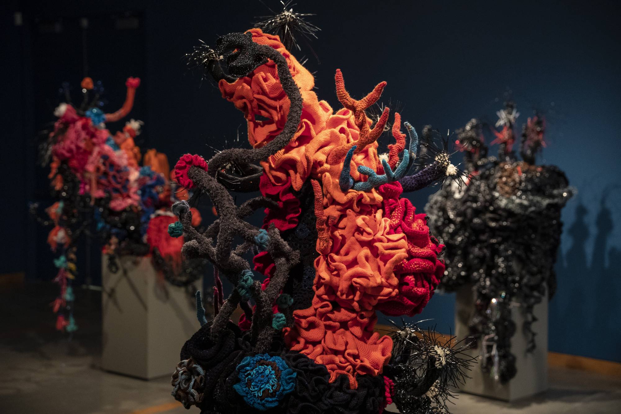 Reef sculpture in gallery