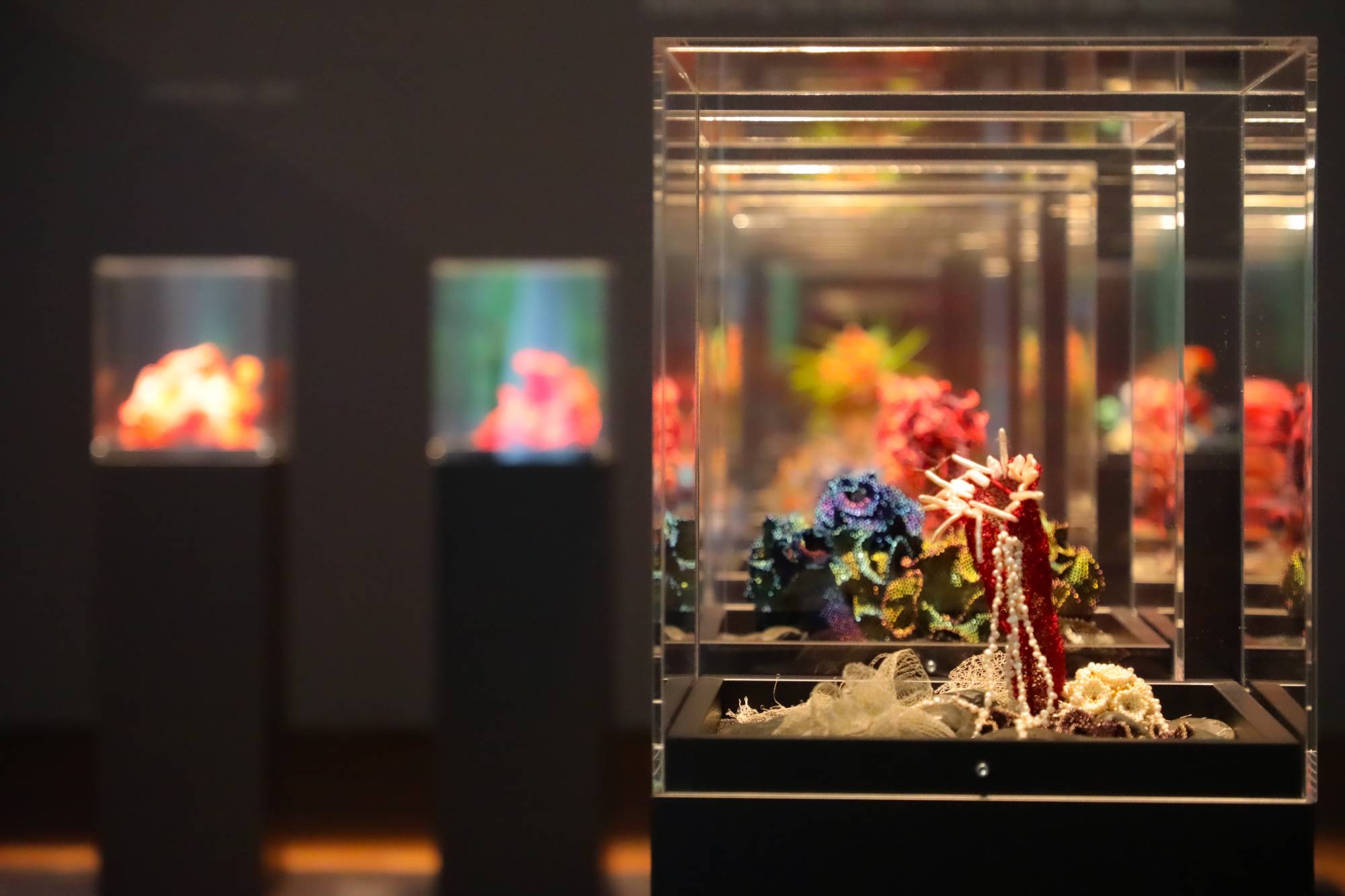 sculptures of crochet and beaded corals in vitrines