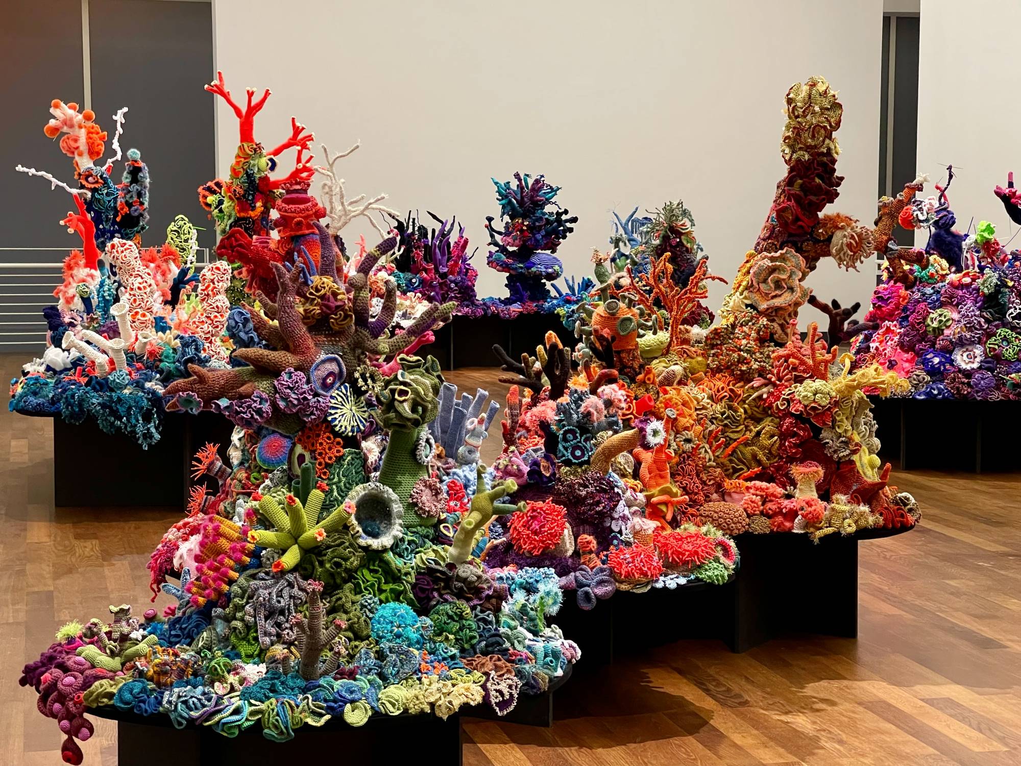 crochet coral islands at Museum Frieder Burda