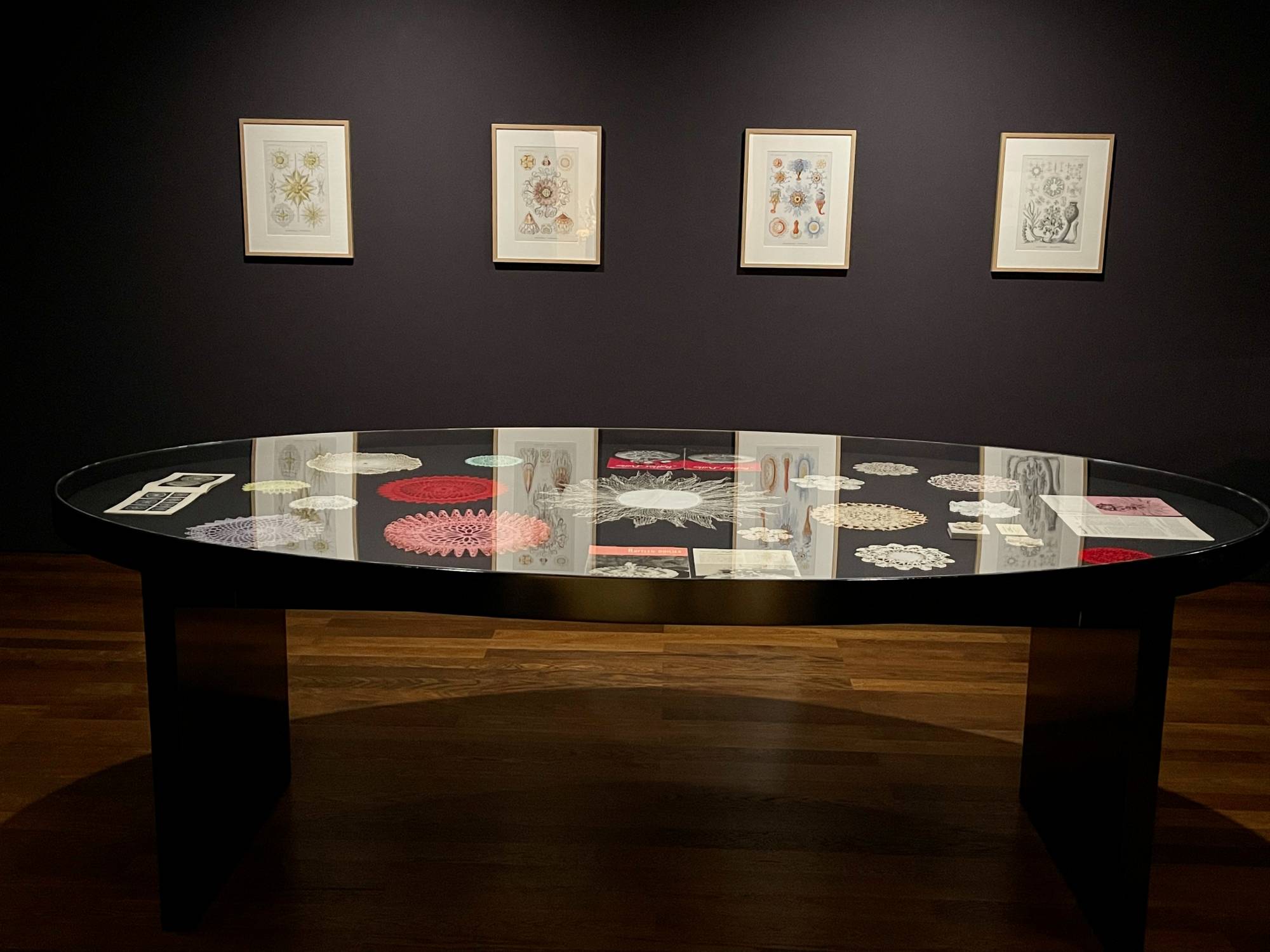 display of vintage coral doilies and prints of Ernst Haeckel sea creature drawings