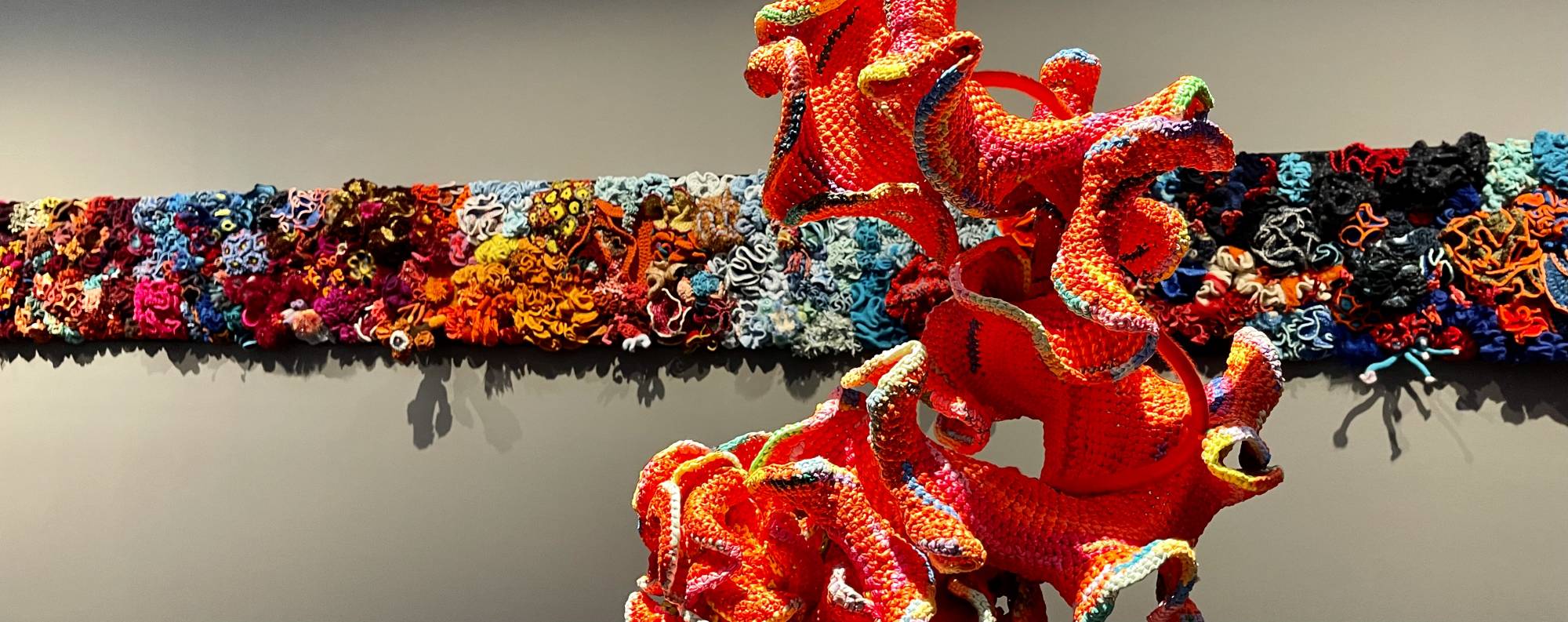 frieze of crochet corals at Museum frieder burda