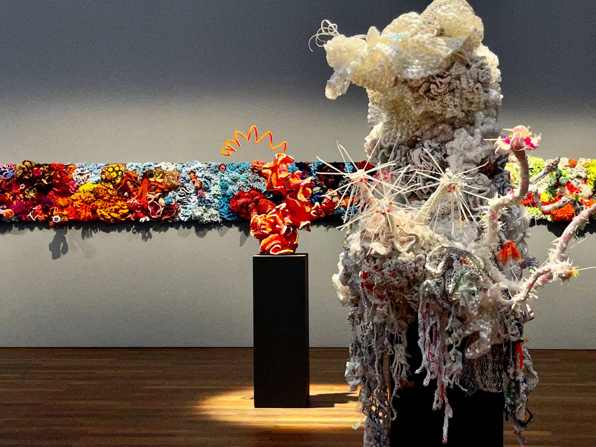 Crochet coral installation at Museum Frieder Burda