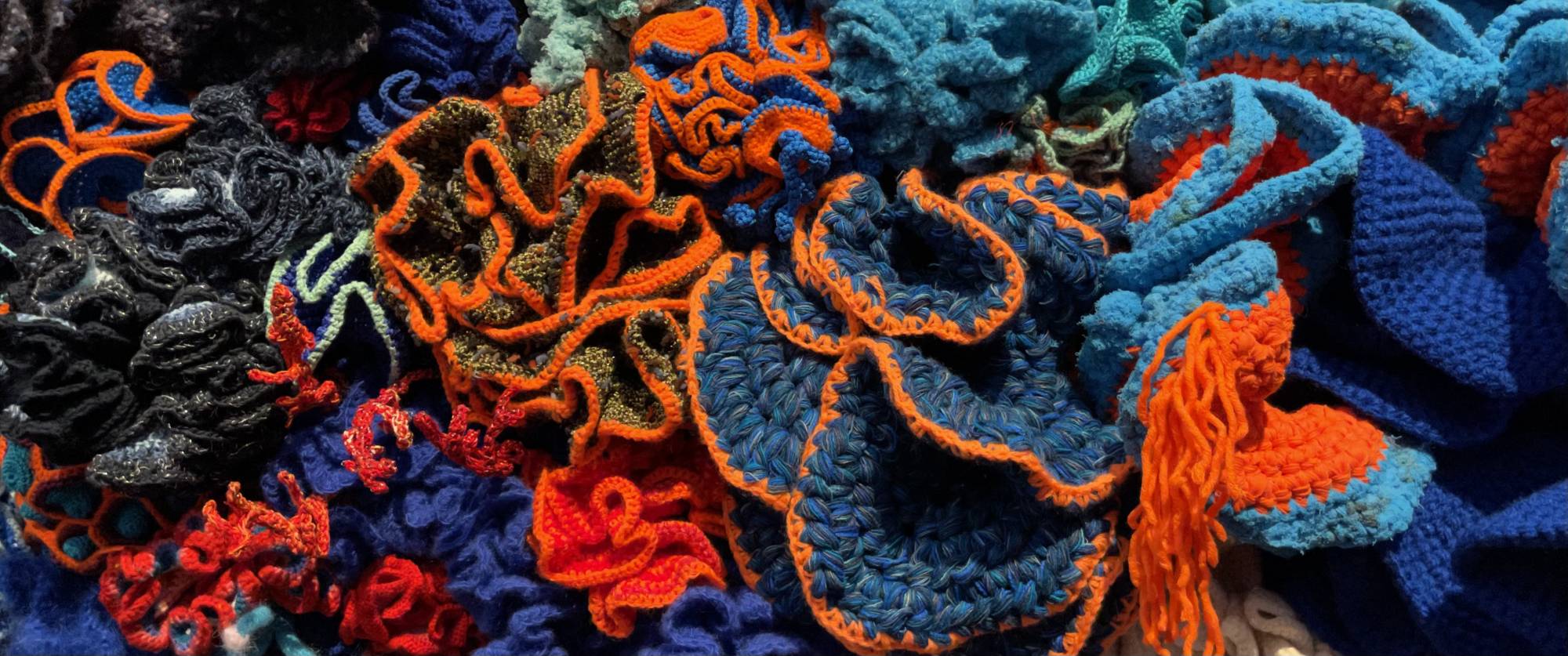 detail of crochet coral wall frieze
