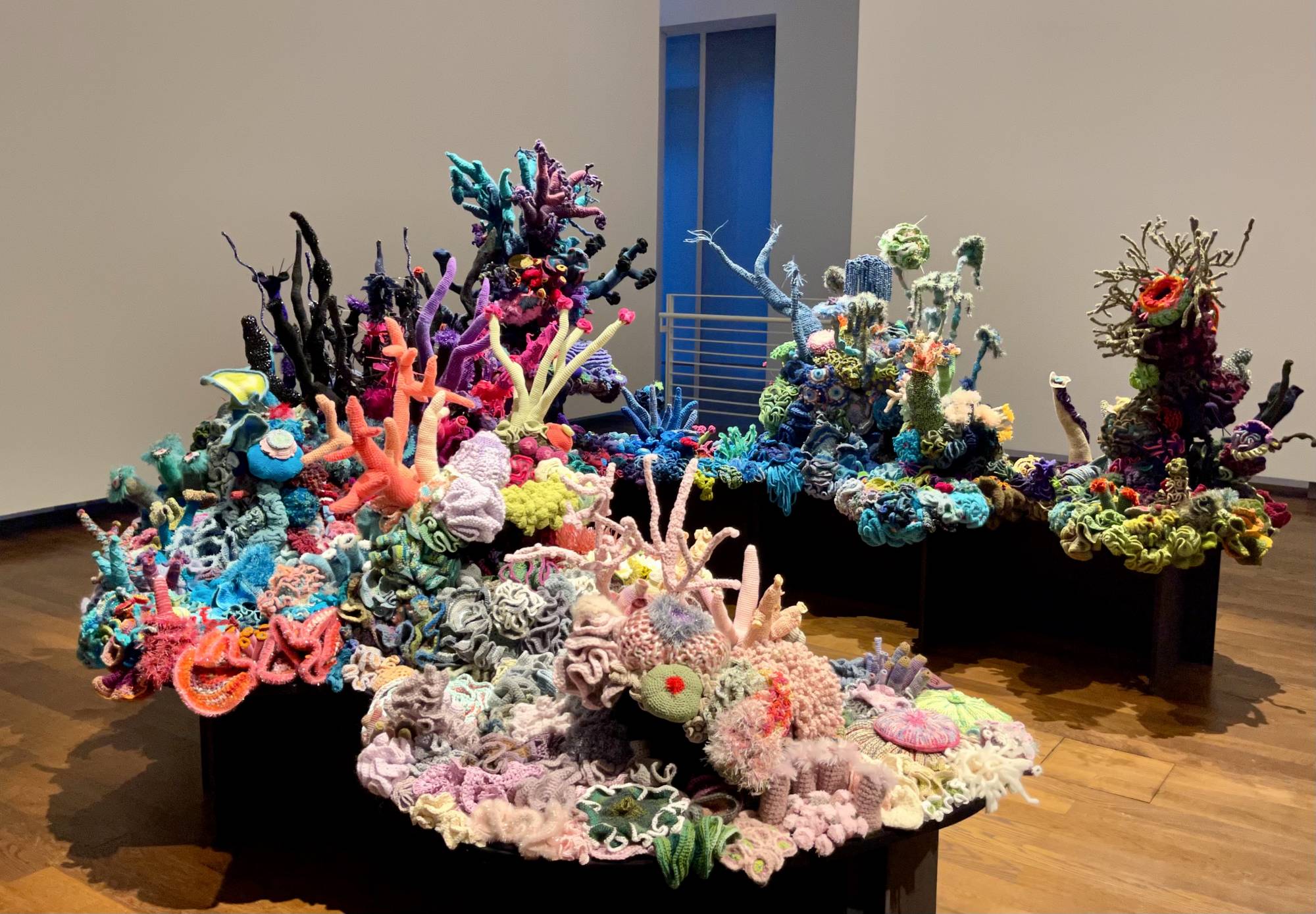 crochet coral installation at museum frieder burda