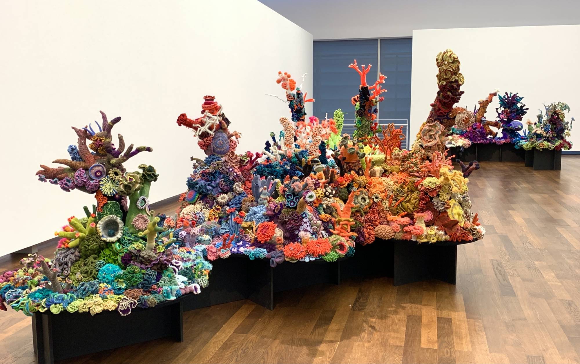 large-scale crochet coral installation at museum