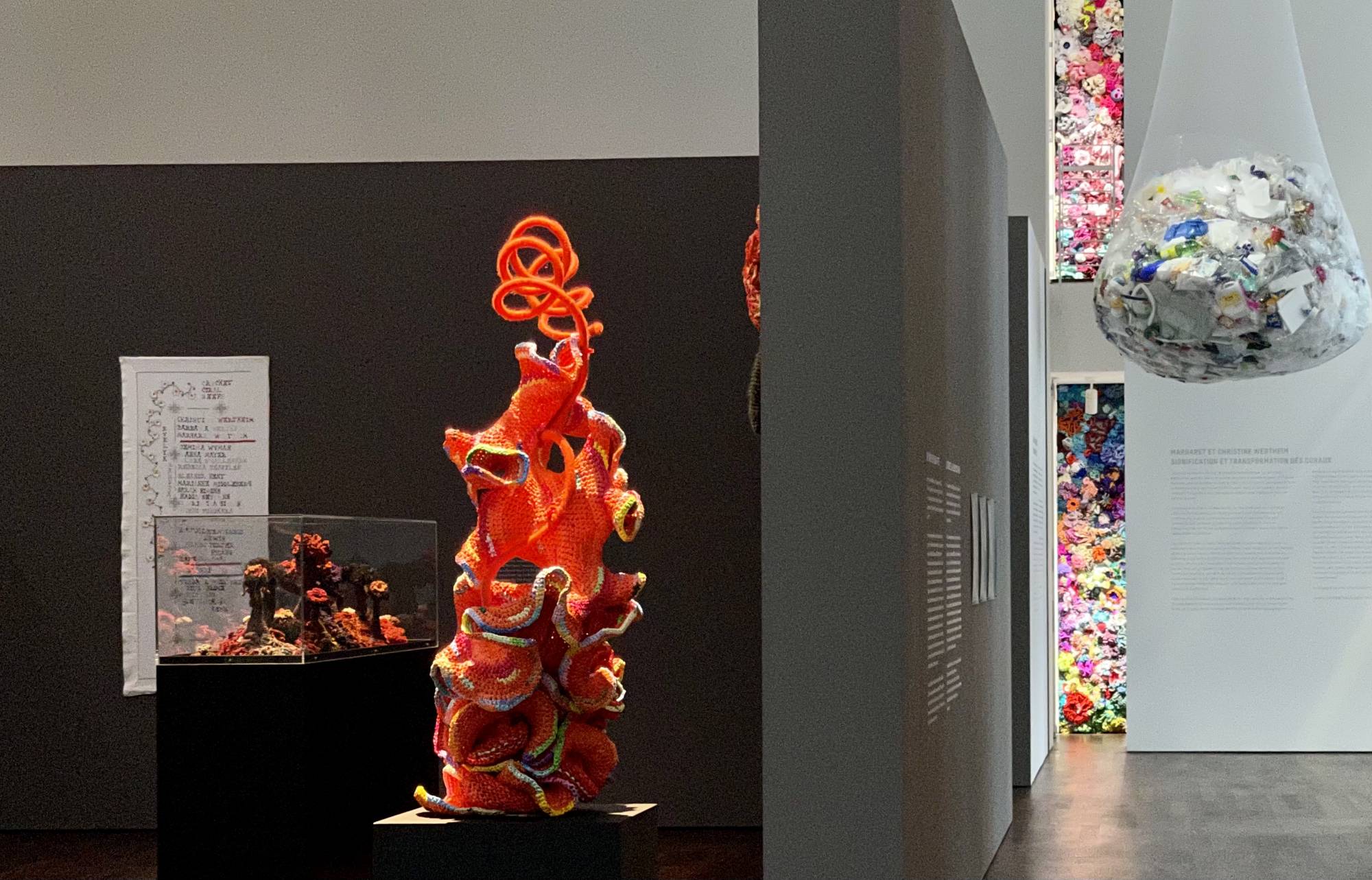 Installation view of galley exhibition of crochet corals