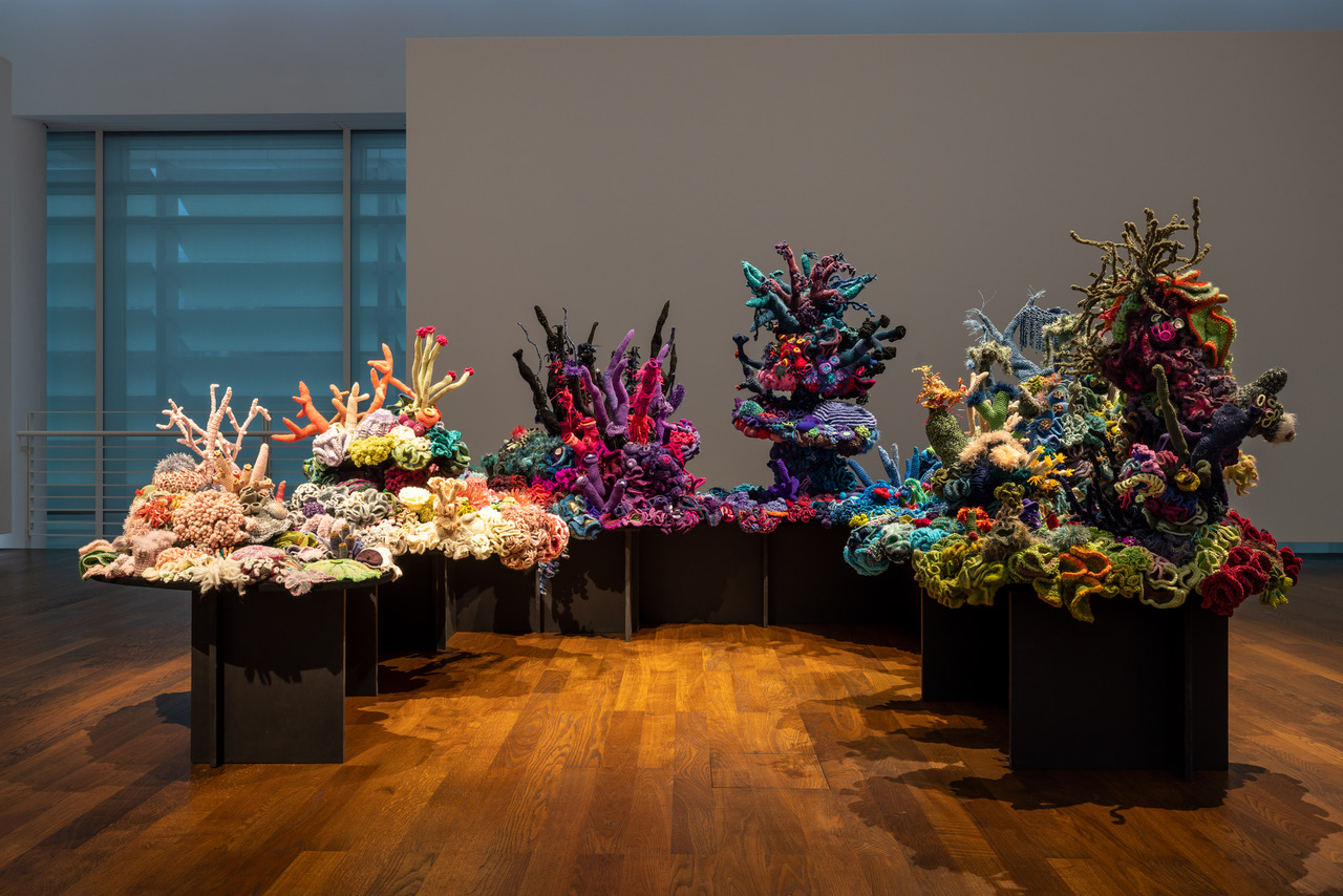 large-scale sculptures of crochet coral reefs