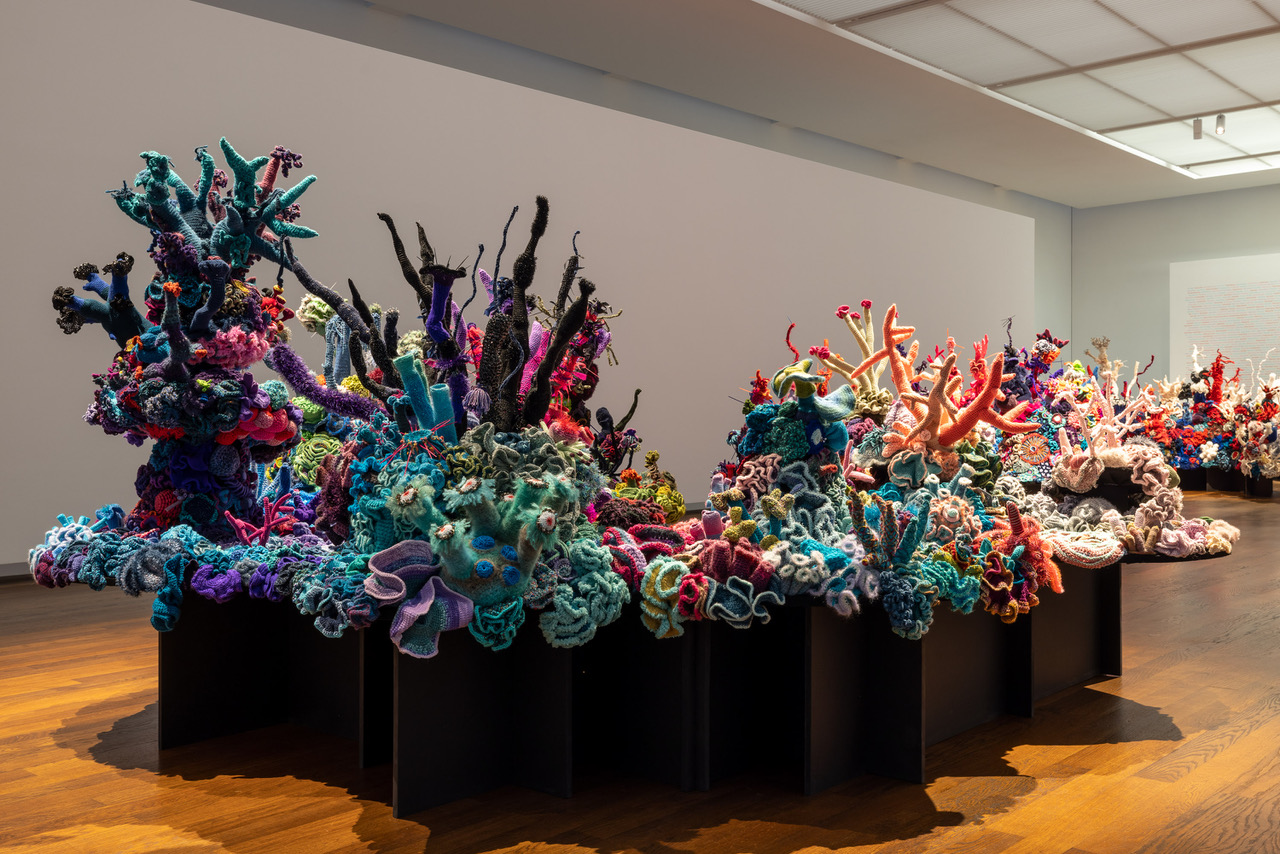 large-scale sculpture of crochet coral reefs