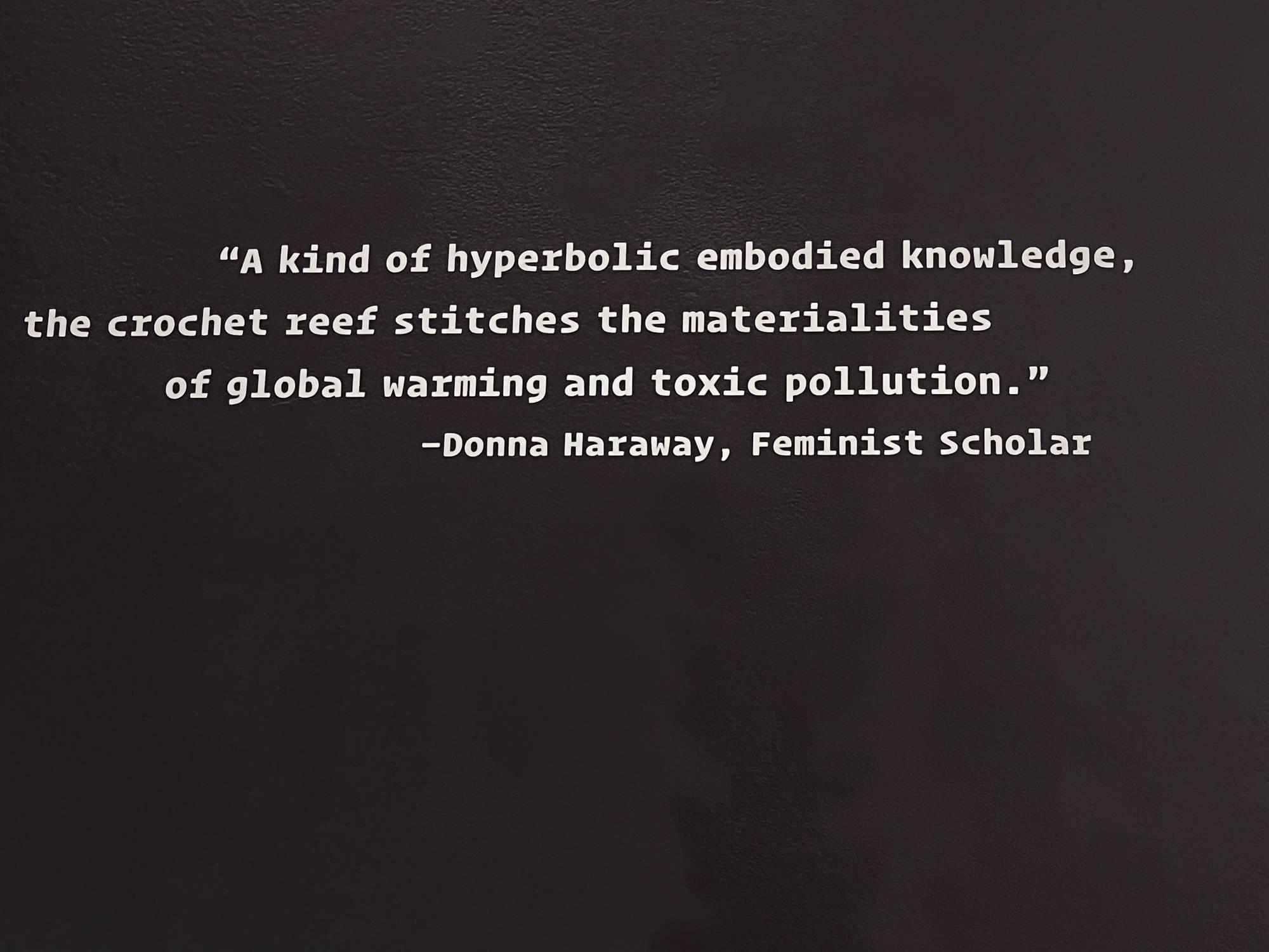 vinyl lettering on gallery wall by Donna Haraway