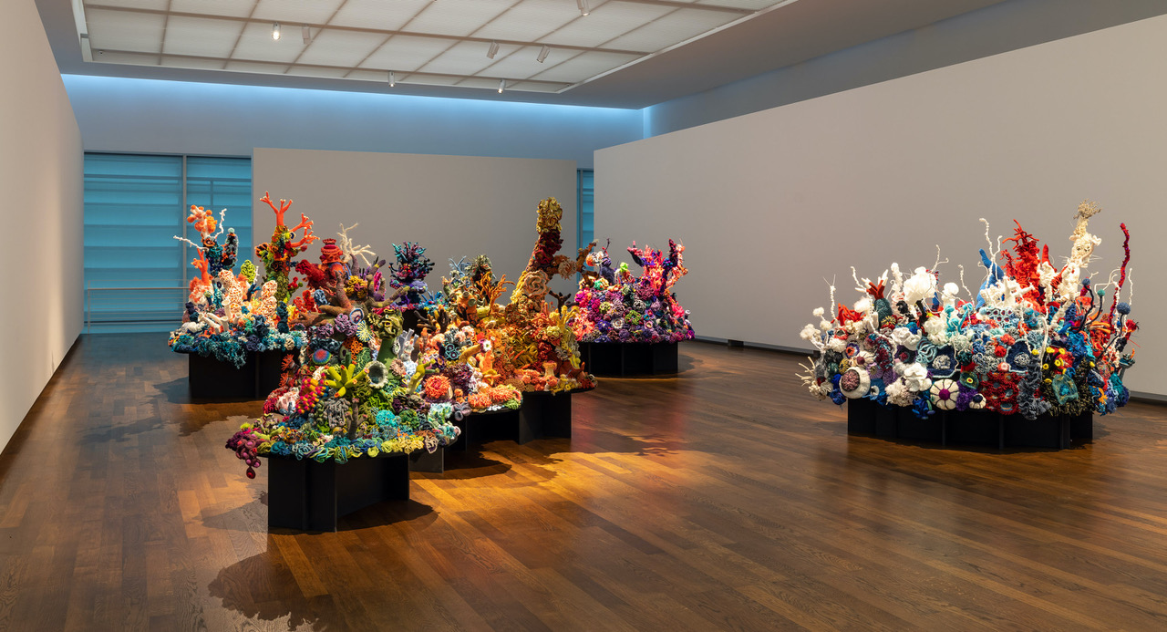 gallery with sculptures of crocheted coral reefs