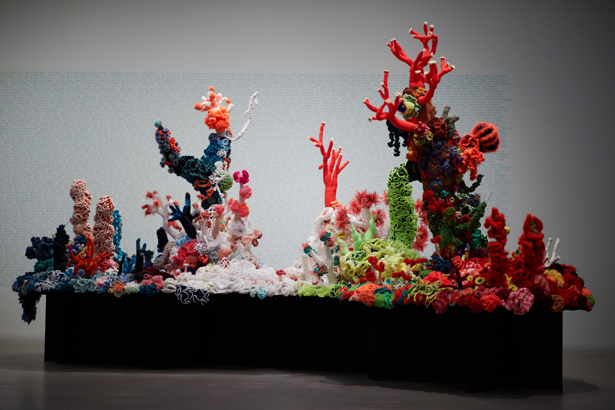 Germany Exhibitions – 2023 | Crochet Coral Reef