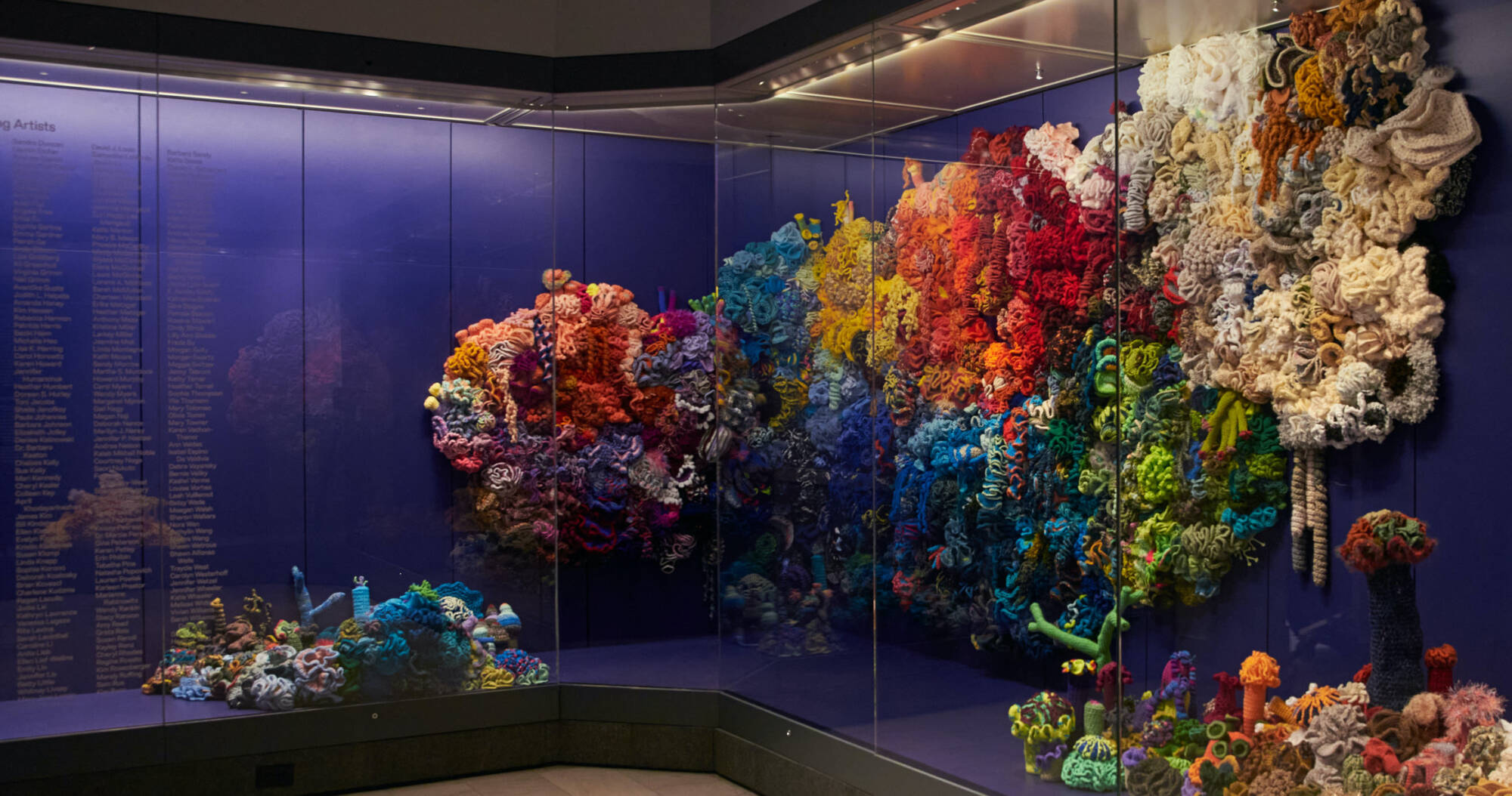 Crochet coral sculptures inside aquarium-like glass vitrine