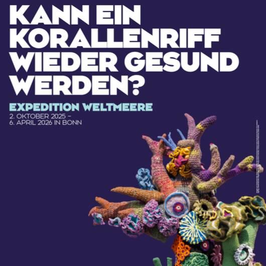 Exhibition poster with image of crochet coral reef