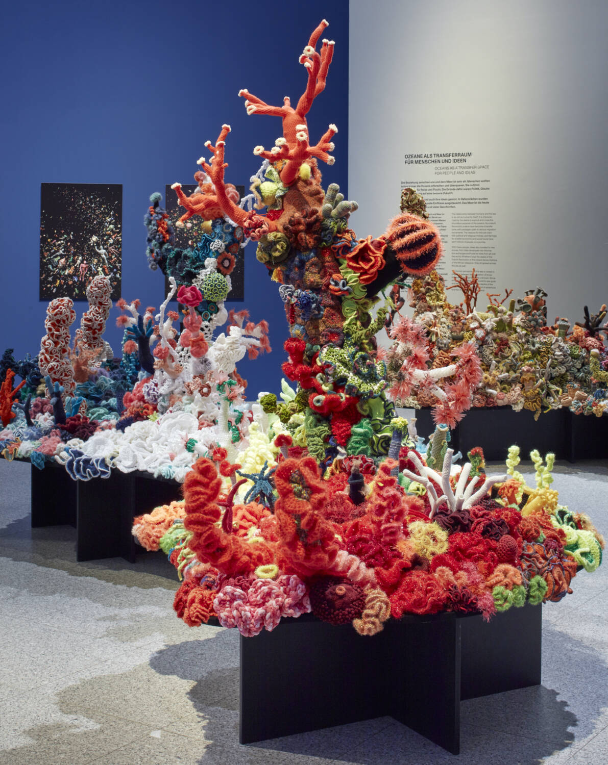 crochet coral reef installation
