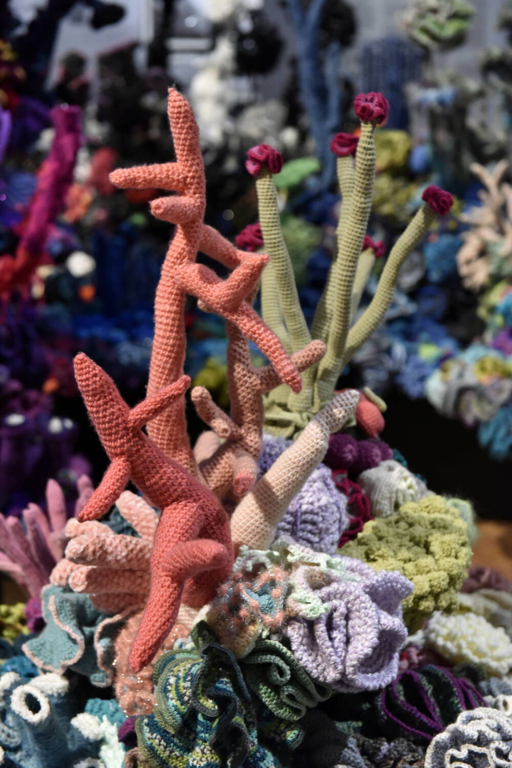 crochet corals close up