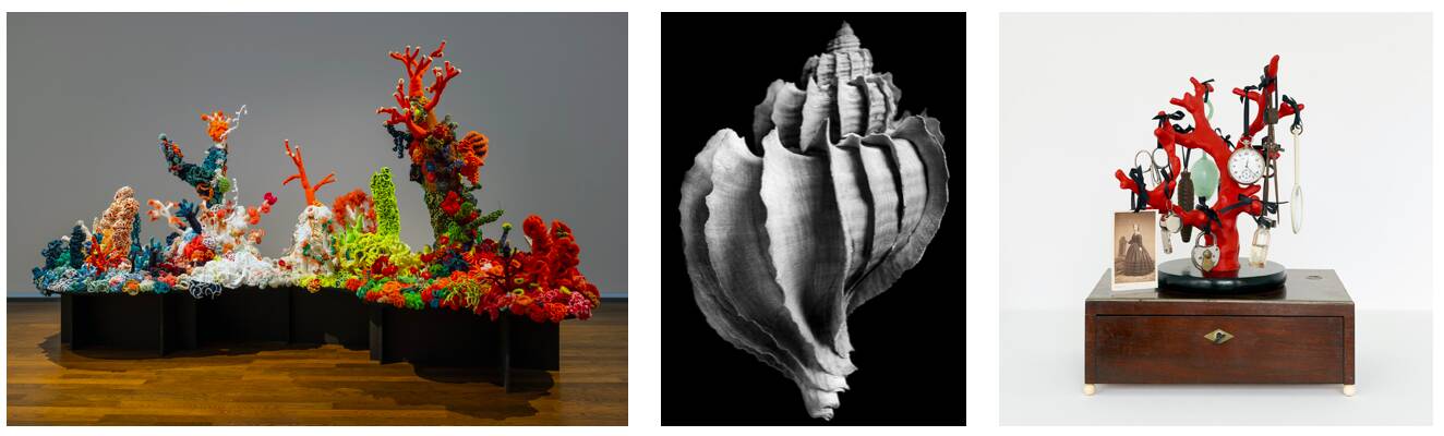 screen shot showing 3 sculptures of ocean related art objects